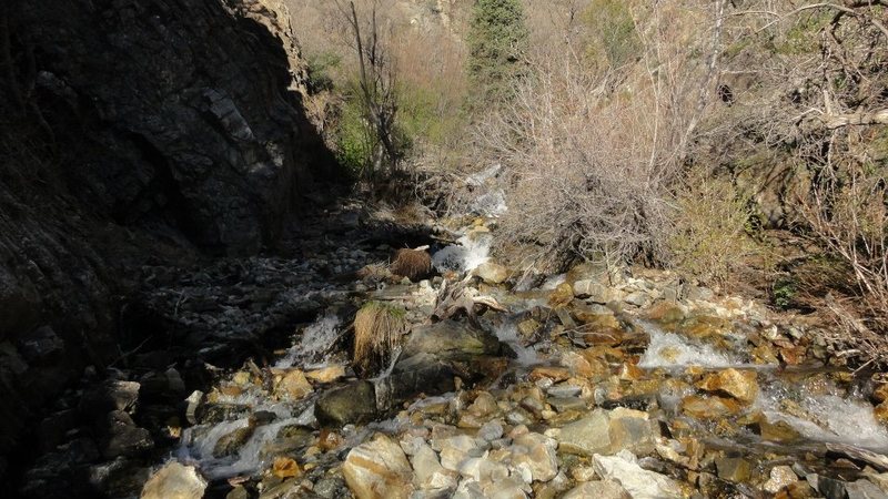 This is the part of the hike where the trail temporarily  merges with the stream bed 