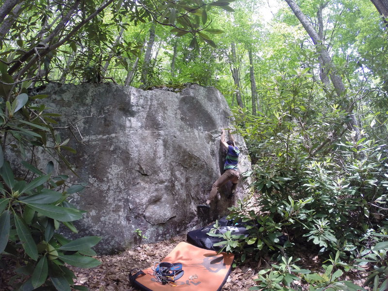 Death Tree Boulder