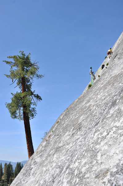 The moderate classic Tree Route is a must-climb on Dome Rock.