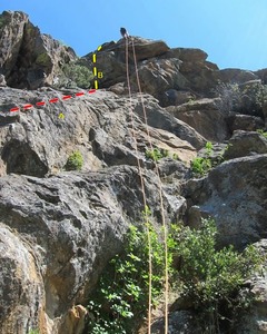 A. Wimpy <br>
B. Ren