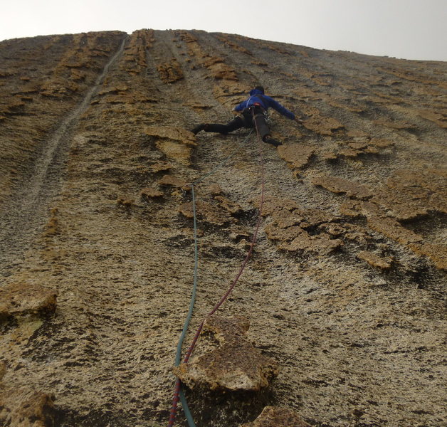 Incredible chicken heads on pitch 5