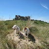 Bamburgh Castle ,Northumberland