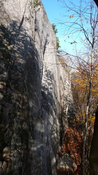 Looking down the wall