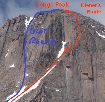 Upper Kiener's variation.