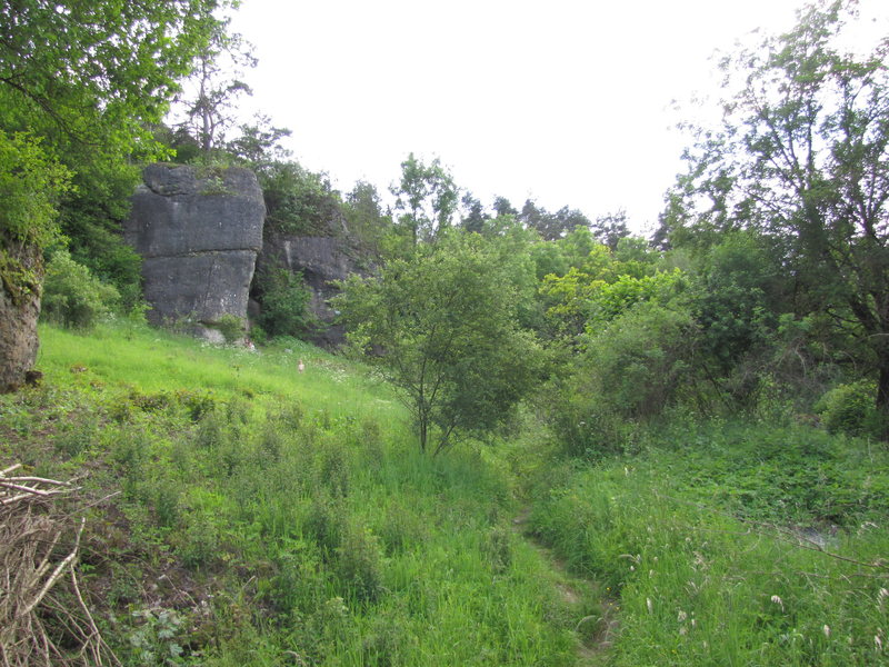 The path to Hainbronner Pfeiler.