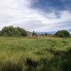 Coxey Meadow (3N14), San Bernardino Mountains