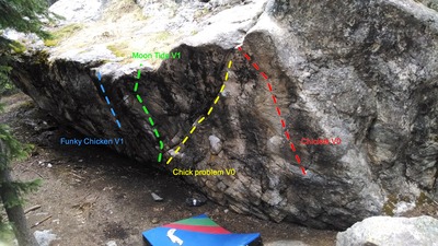 The Chick Problem area, which is the south side of the Big Wild Boulder.