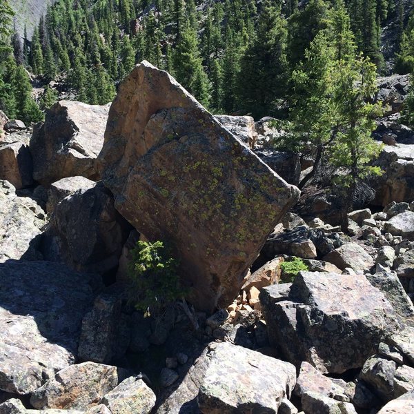 New routes on this boulder near the Kwik-E Mart on top of the boulderfield.