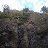 Part of west face at Carlton Peak. We backed off from setting a top rope due to combination of abrasive rock, slabbiness, and bushes.