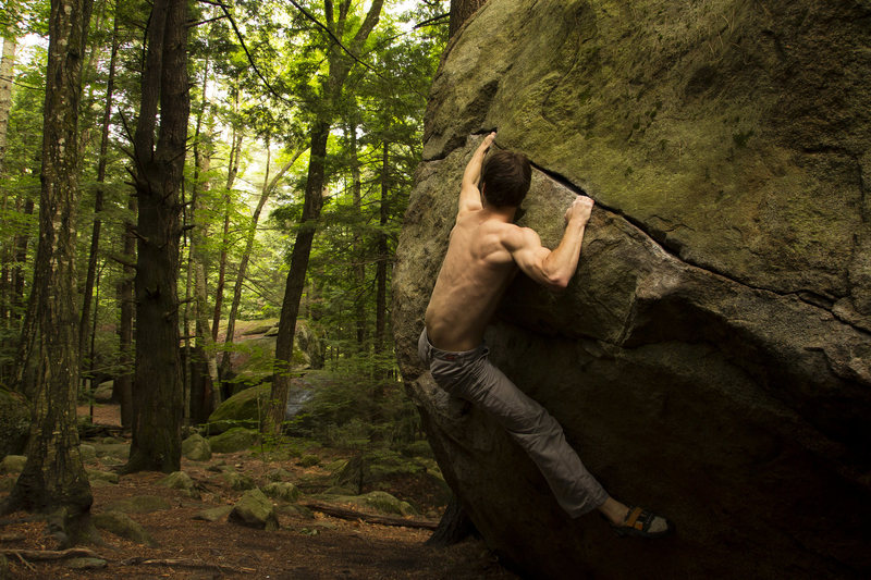 Making the reach on Hobbit Hole