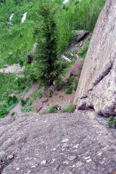 Looking down at the base of Ame's Way, by the large tree.