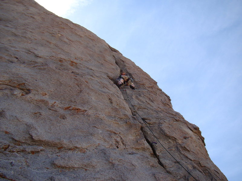 Hannah Thatcher leading Dorothy's Crack