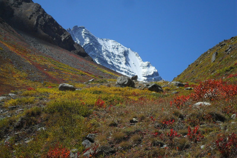 fall colors on 3-day trek in Kinnaur.  No climbing, just scenic.