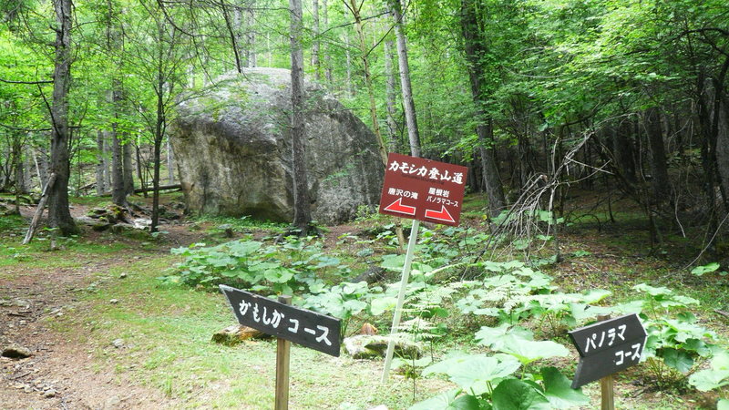 Well marked trails in places.