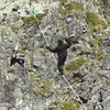 Chamonix wildlife at the top of the Voie Frison-Roche route.