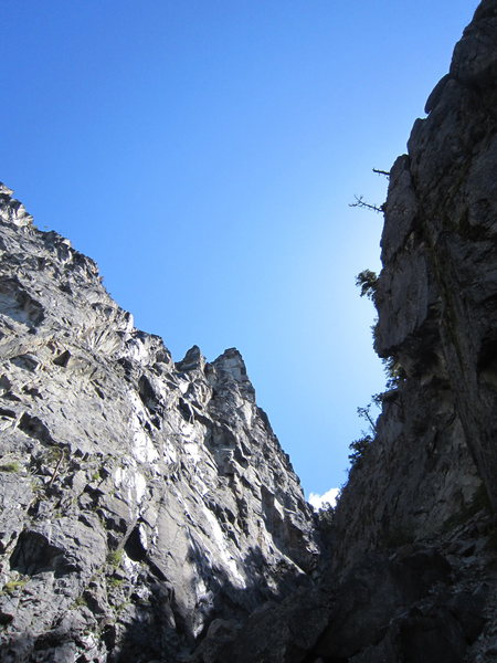 Looking up at the large south face of the white fang