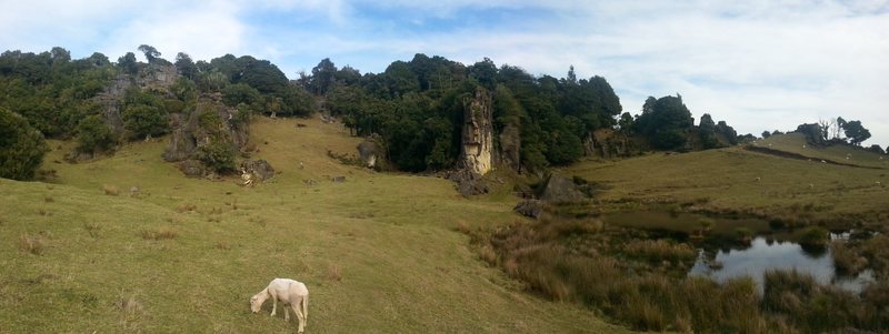 Frog pond crag