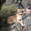 Karhu enjoying a day cragging, Land of the Lost