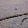 Jenny Le on Pangborn 5.10a 