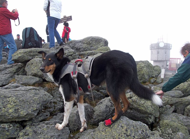 Colvin on Mount Washington via Huntington Ravine