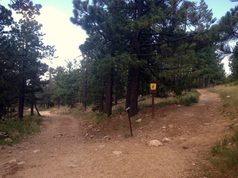 Fortress Approach Photo 2: Fork.  The access road is on the left; the Meadow Trail is on the right.