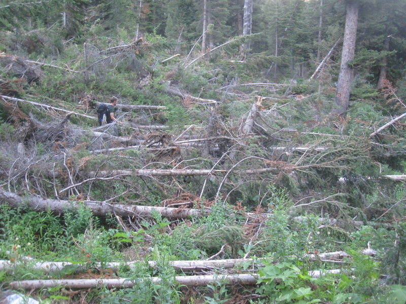 Greg navigating one of the many debris fields. "Avalanche Canyon" is not just a cute name.