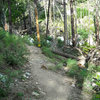 From the Sunset trail (trail off of which River Boulder lies), turn off here to go down the hill and into Gandalf's Gorge. <br>
<br>
Note the large uprooted tree stump as a landmark, and follow the cairns. 