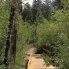 The second wooden boardwalk along the Siberia Creek Trail, Big Bear South