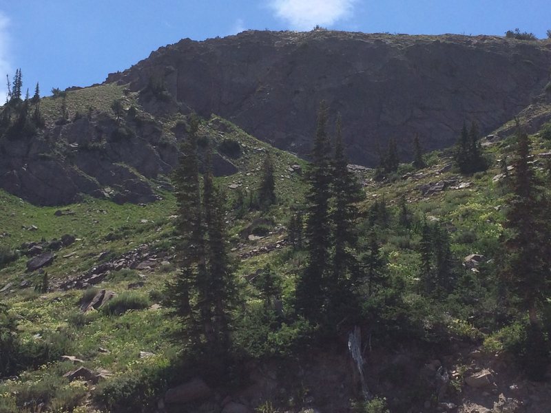 The far left pine tree in the foreground is pointing  to the beginning of the route.<br>
Photo taken from the Needles Lodge.