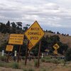 Hwy 18 road signs at Nelson Ridge, Big Bear North