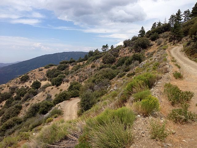 Sugarloaf Truck Trail/Radford Road (2N06), San Bernardino Mountains