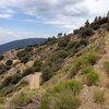 Sugarloaf Truck Trail/Radford Road (2N06), San Bernardino Mountains