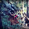 Courtney Ceran on the Tree Problem (V4), Parking Lot Rock