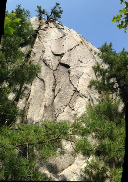 Baldy (left) and Tree Skirt (right)