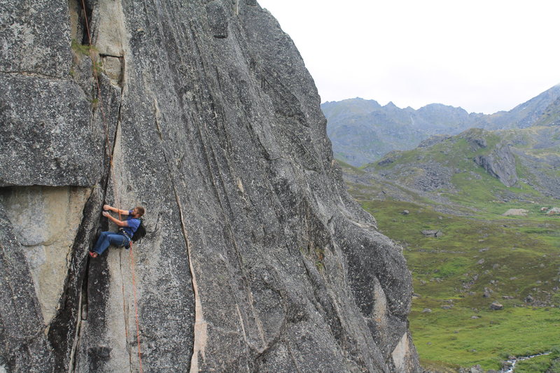 Tim following True Grit with the pack.