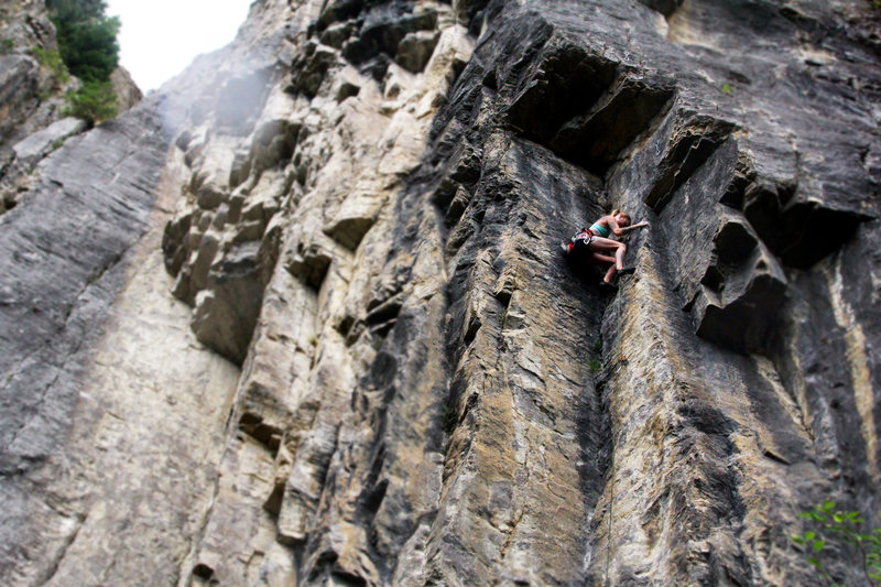 Renn up the dihedral in pouring rain. Geriatrix is the prominent gray slab on the far left.