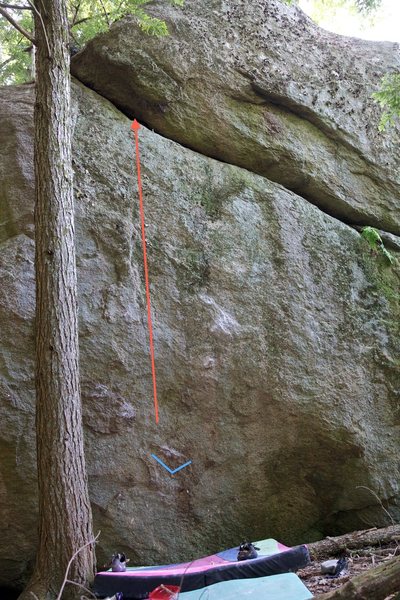 This photo shows the starting hold (blue) and general line of travel (red) of 'Pace Is The Trick'.