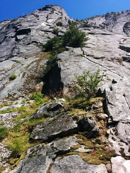 From the start of Blueberry Buttress looking up the route.