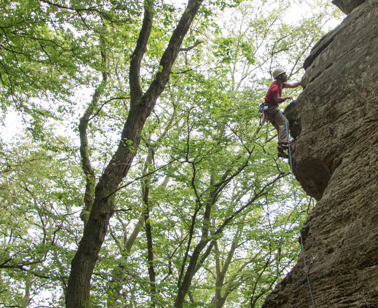 Climbing Minimops. Photo credit: Scott