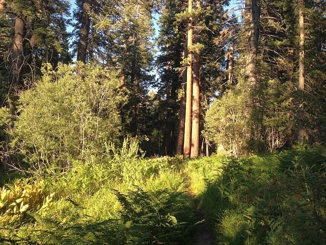 Siberia Creek Trail, Big Bear South