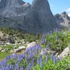 Pingora from the Arrowhead Pass