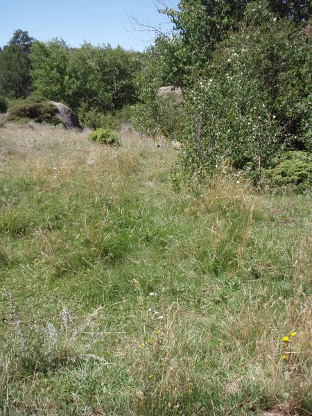 The faint trail on the left used to hike into the Maze.