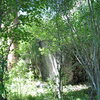 Campground Boulder in the summer.