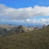 Lakeland sheep with the small summit of Catsty Cam in the background