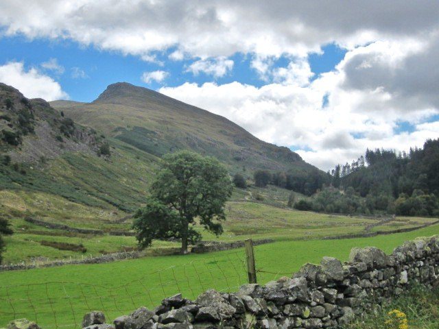 Looking up towards the mountain from the Thirmere road