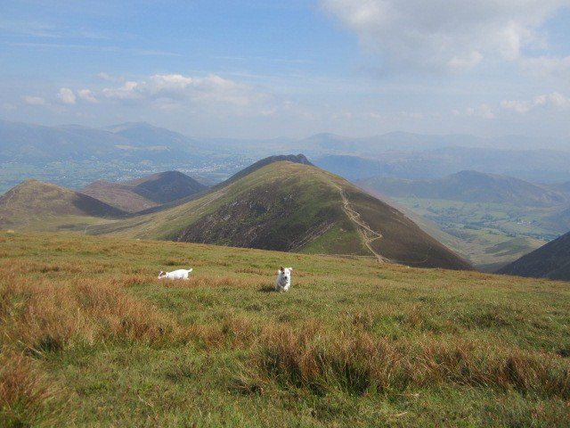 Looking back from Sail to the dark summit of Causey and the town area of Keswick town in the distance