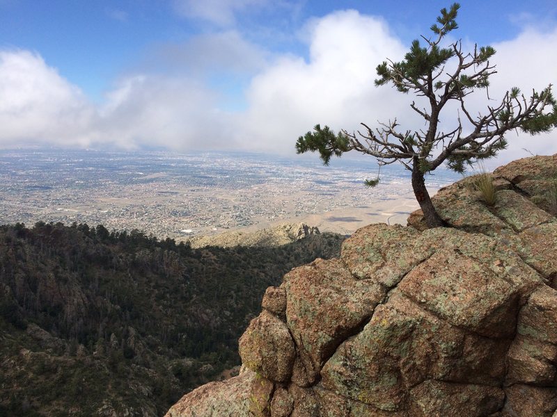 View of Albuquerque from the lower half of the route, about half way up to the notch that is just before the crux pitch.  Many rope up here.