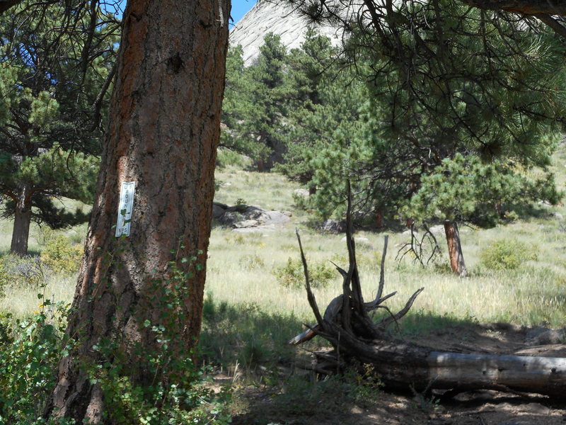 We found this RMNP boundary sign on a tree marking the start of an approach trail that is a little west of the gully mentioned as the approach trail. This is right above the highest parking lot of the Bella Terra hotel. The trail was well-defined down low but was overgrown with thistles and deadfall higher up. Some trail maintenance would help! 