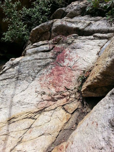 Fresh blood found up here yesterday. Anybody know what happened? A lot of blood, head injury? goat sacrifice?  landshark attack?