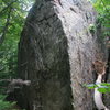 40 foot Dunn boulder below the main cliff